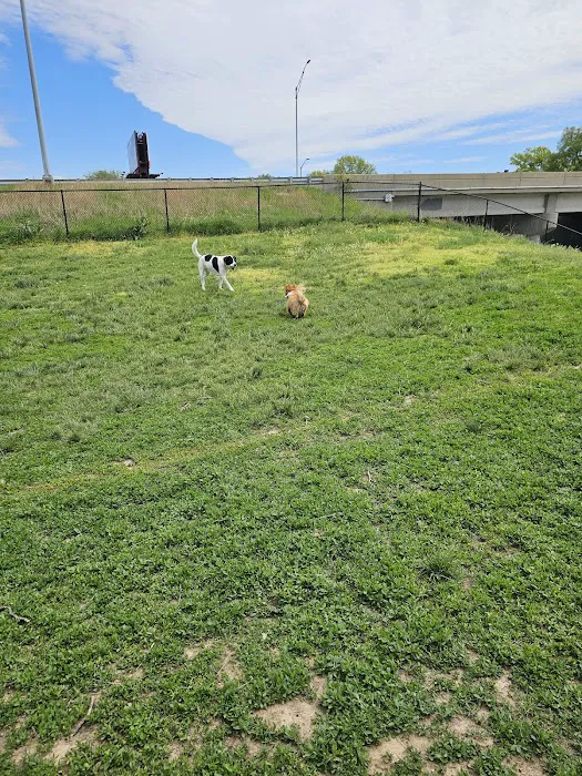 River Market Dog Park 4