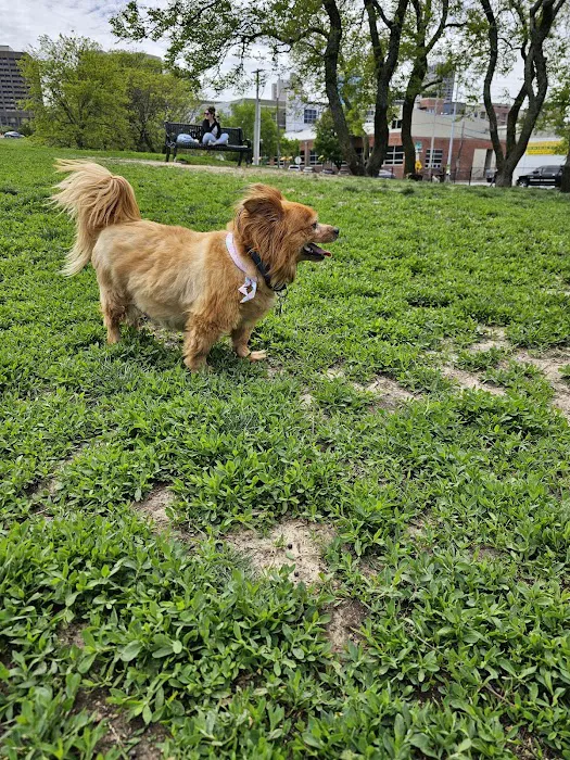 River Market Dog Park 7