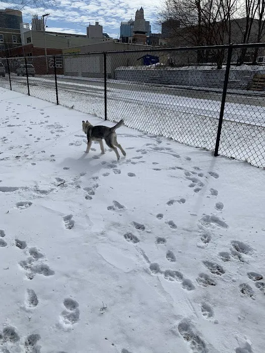 River Market Dog Park 8