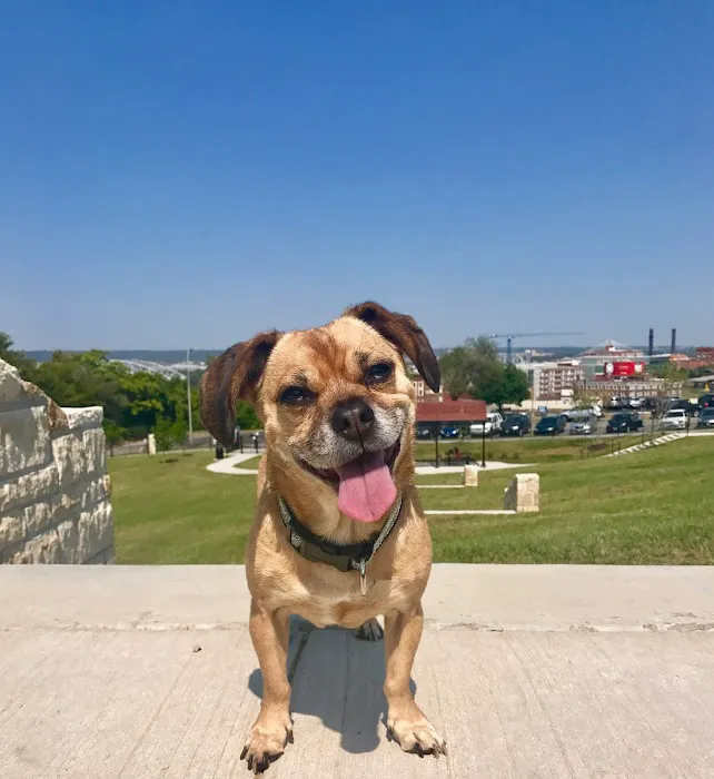 West Terrace Dog Park (private, membership-based park) 2