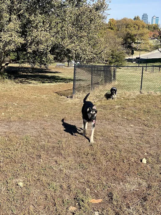 Penn Valley Off Leash Dog Park 2