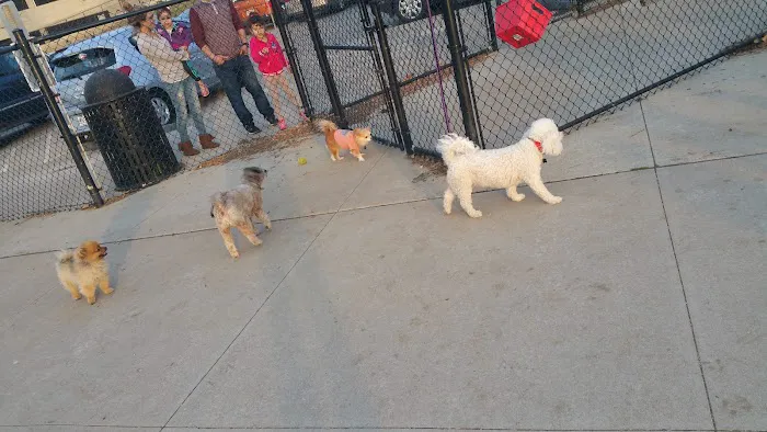Penn Valley Off Leash Dog Park 4