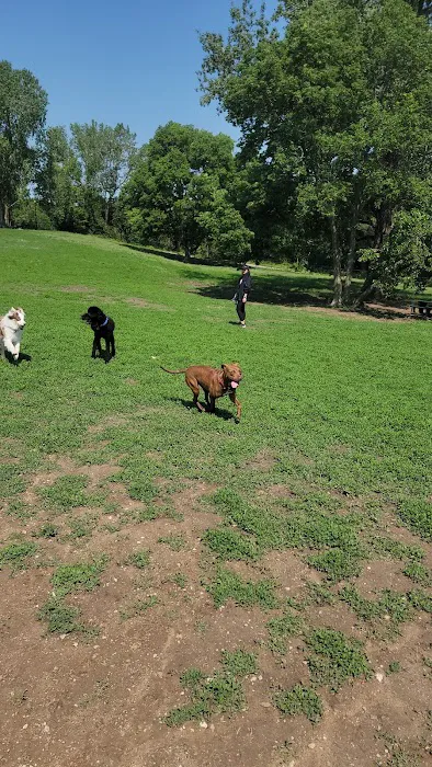 Penn Valley Off Leash Dog Park 3