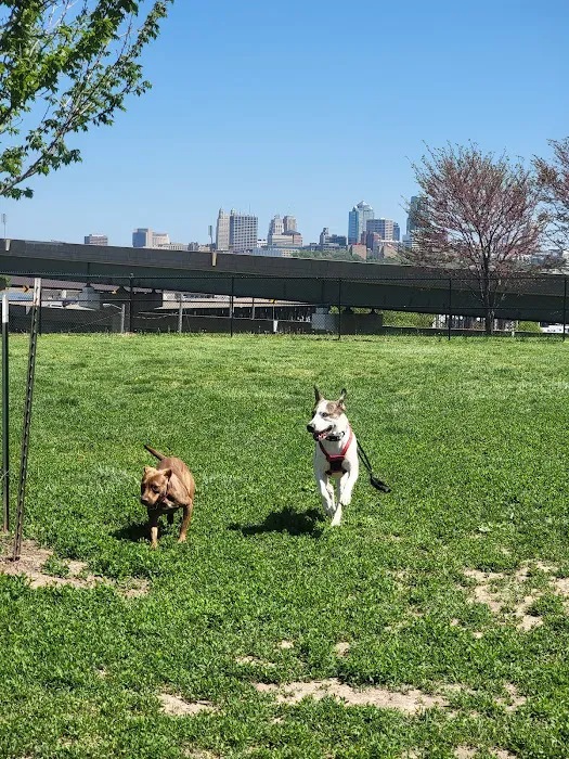 St. John's Dog Park 1
