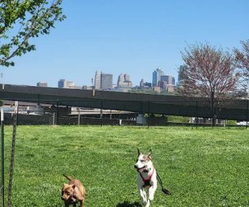 St. John's Dog Park