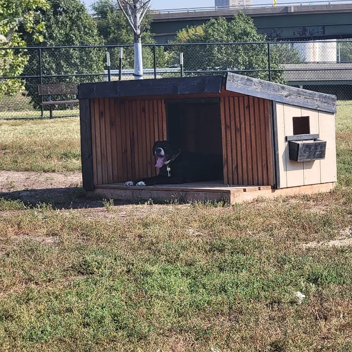 St. John's Dog Park 3
