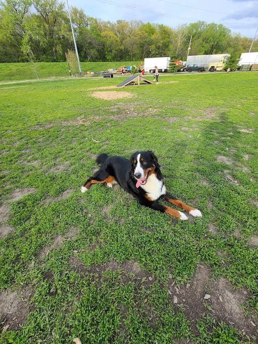 Waggin' Trail Dog Park 6