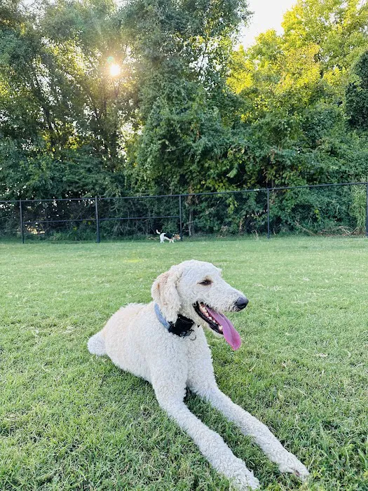 Waggin' Trail Dog Park 1