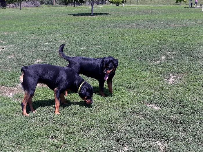 Waggin' Trail Dog Park 4