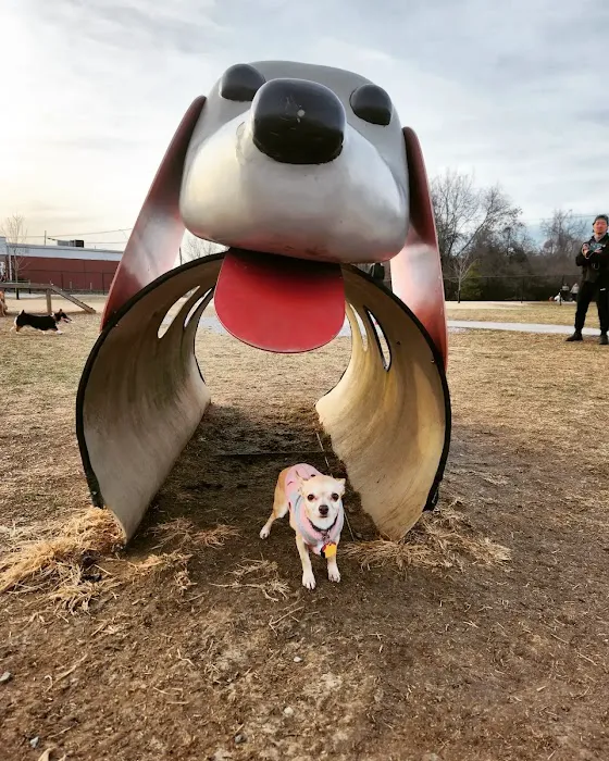 Waggin' Trail Dog Park 3