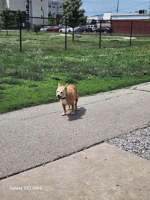 Waggin' Trail Dog Park 2