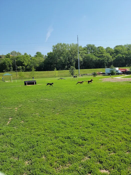 Waggin' Trail Dog Park 8