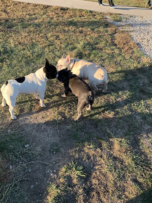 Waggin' Trail Dog Park 10