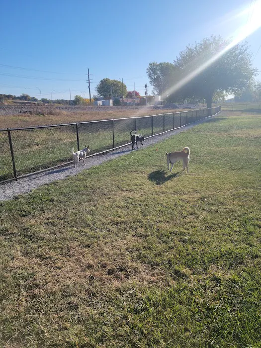 E. H. Young Riverfront Park Off-Leash Dog Park 6