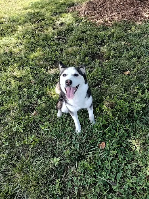 E. H. Young Riverfront Park Off-Leash Dog Park 5