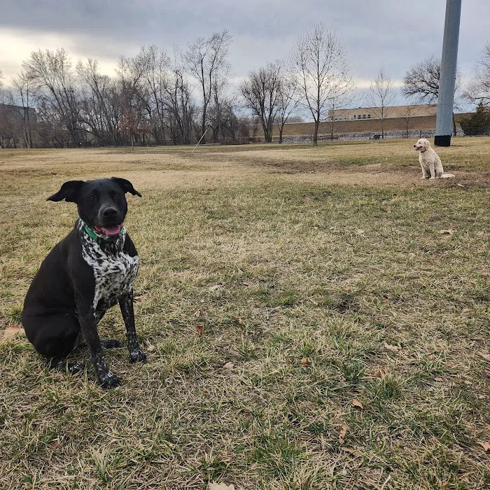 E. H. Young Riverfront Park Off-Leash Dog Park 10