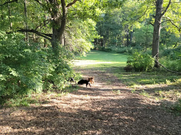 Swope Dog Park 10