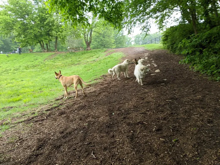 Swope Dog Park 4