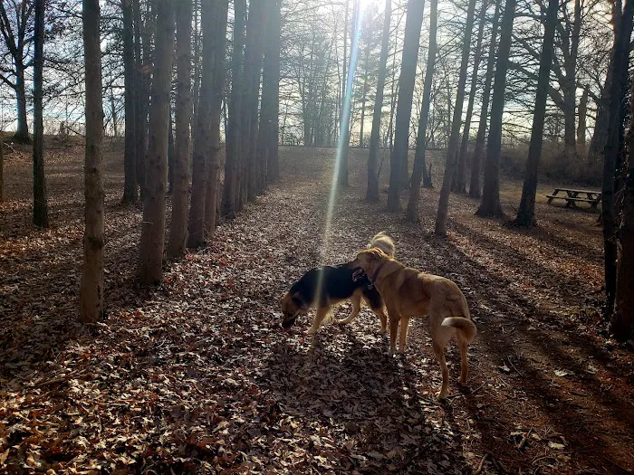 Swope Dog Park 9