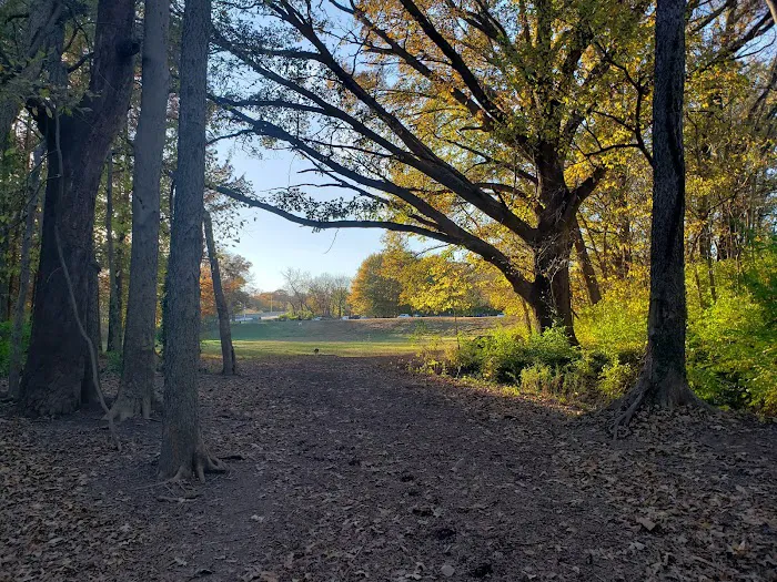 Swope Dog Park 1