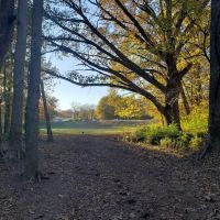 Swope Dog Park ico