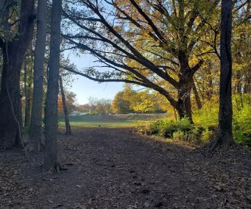 Swope Dog Park