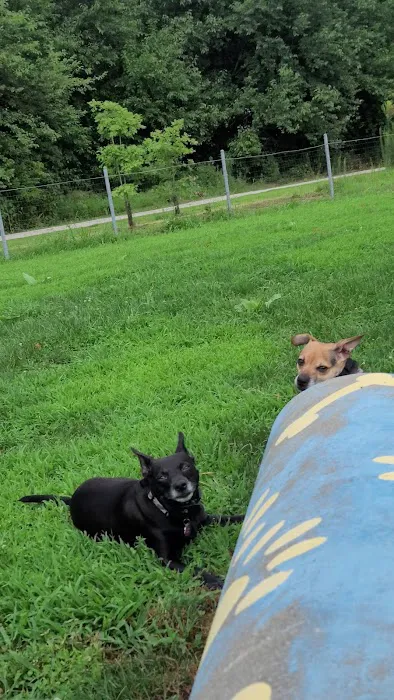 Platte Landing Park Dog Park 2