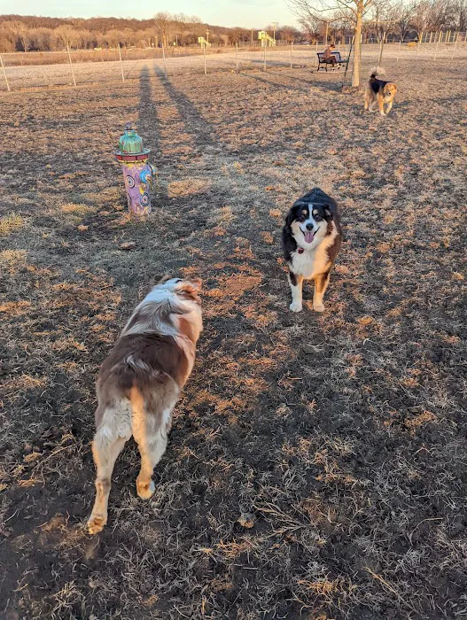 Platte Landing Park Dog Park 5