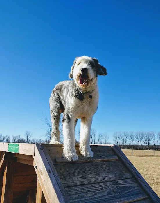 Platte Landing Park Dog Park 9