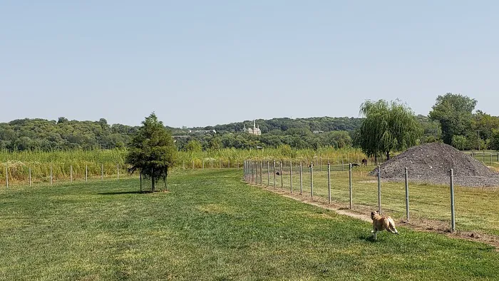 Platte Landing Park Dog Park 3