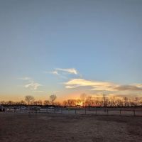 Platte Landing Park Dog Park ico