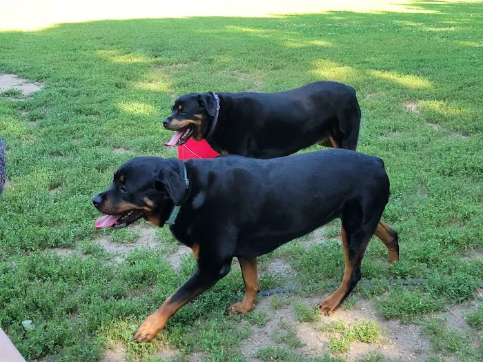 Dog Park at Santa Fe Park 10