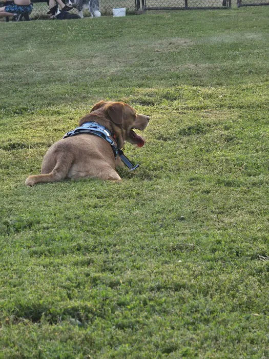 Dog Park at Santa Fe Park 8