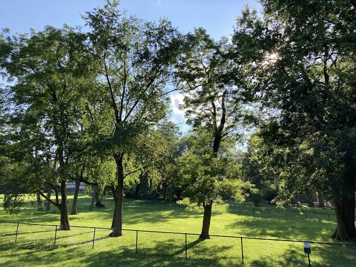 Dog Park at Santa Fe Park 6