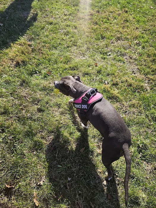 Dog Park at Santa Fe Park 7