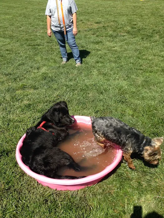 Dog Park at Santa Fe Park 9