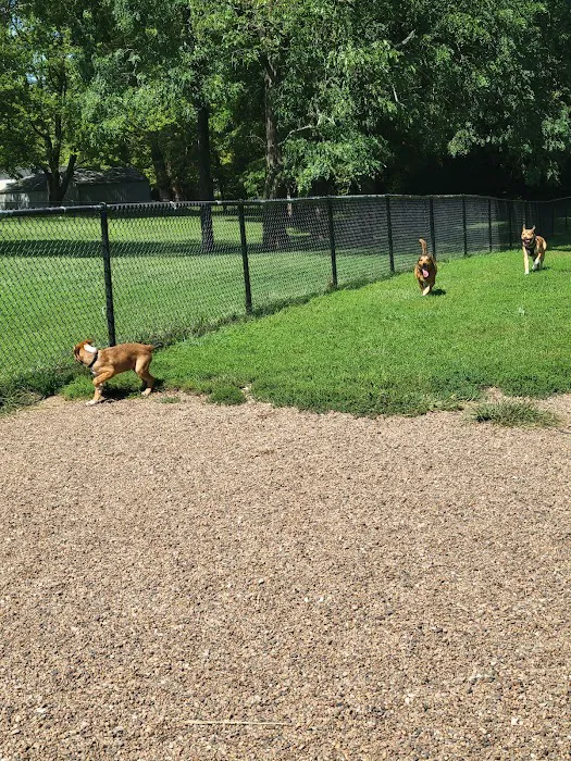 Dog Park at Santa Fe Park 4