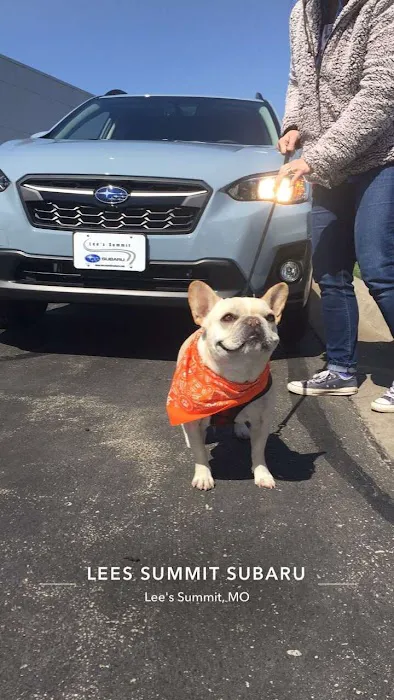 McCall's Barking Lot 4