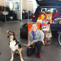 McCall's Barking Lot ico