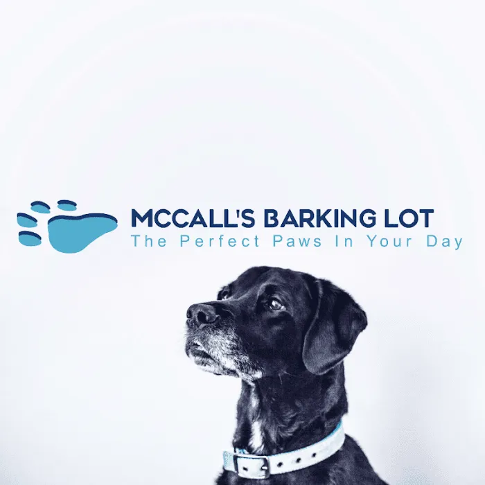 McCall's Barking Lot 10
