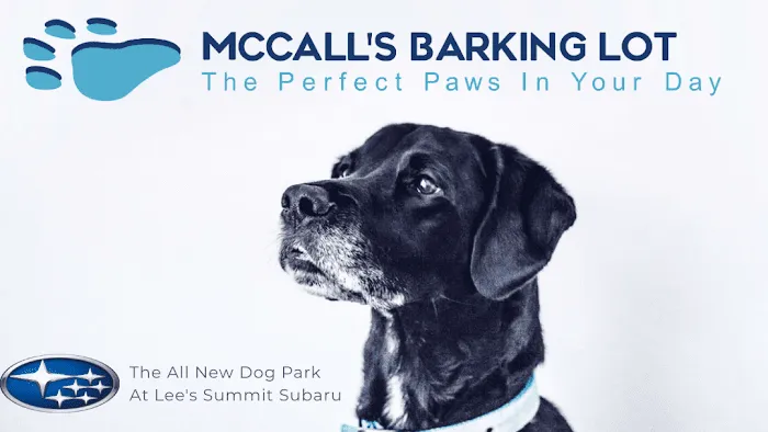 McCall's Barking Lot 9