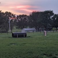 Liberty Dog Park ico