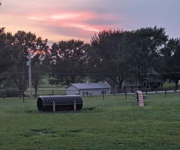 Liberty Dog Park