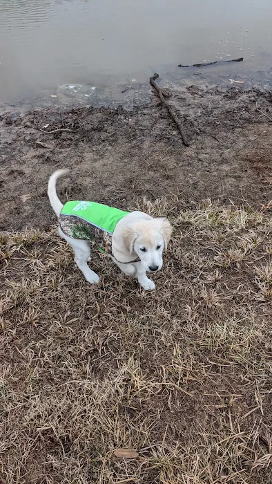 Liberty Dog Park 8