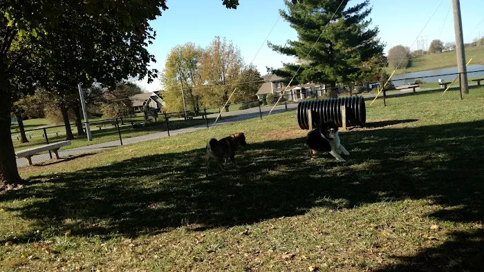 Liberty Dog Park 4