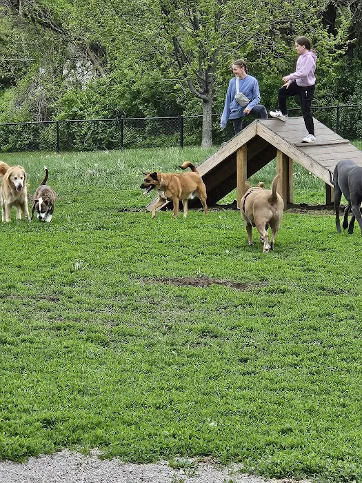 Liberty Dog Park 10
