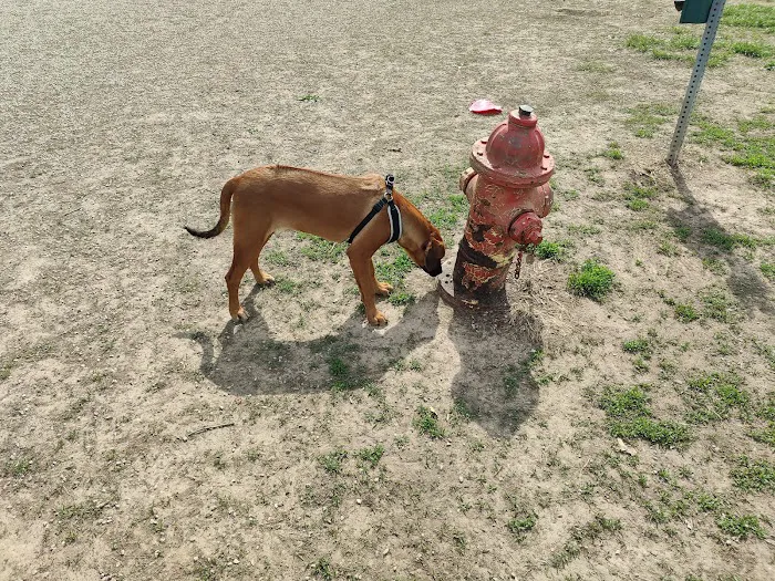 Liberty Dog Park 9