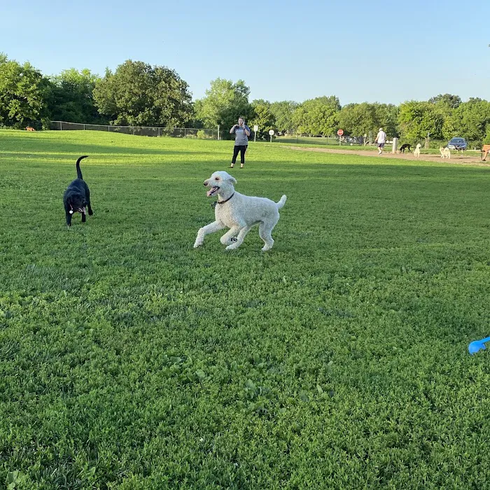 Stoll Off-Leash Dog Park 2