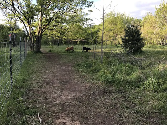 Stoll Off-Leash Dog Park 4