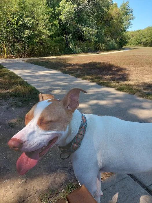 Stoll Off-Leash Dog Park 3